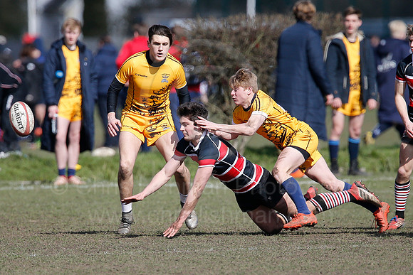 Rosslyn Park 7's_061_LC_7292