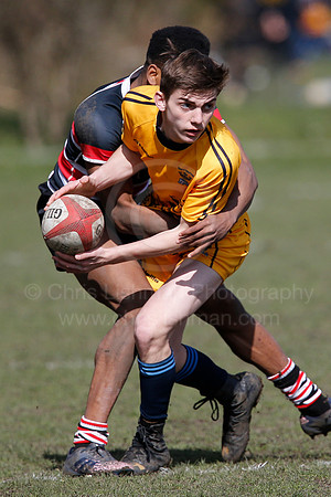 Rosslyn Park 7's_062_LC_7296
