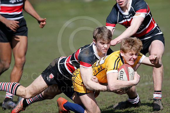 Rosslyn Park 7's_063_LC_7305