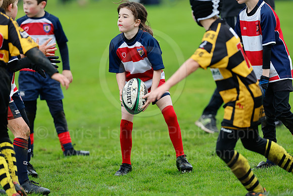 Festival_CDL_08-10-2023_CL_636618