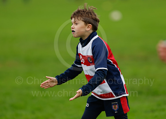 Festival_CDL_08-10-2023_CL_636595