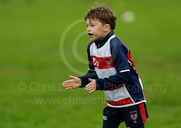 Festival_CDL_08-10-2023_CL_636590