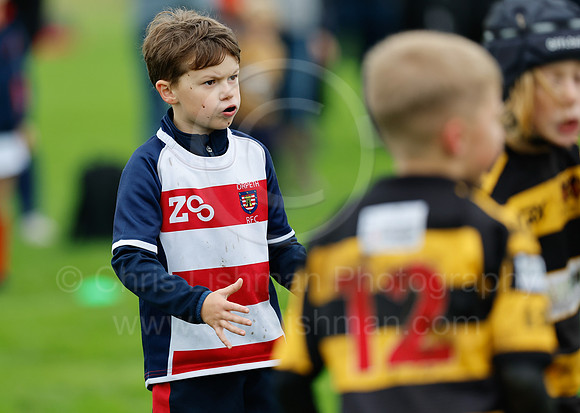 Festival_CDL_08-10-2023_CL_636581
