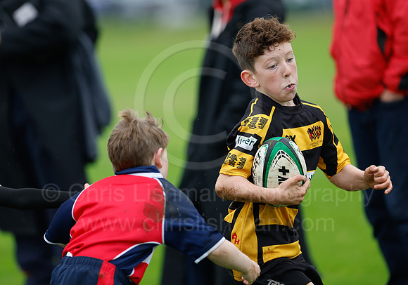 Festival_CDL_08-10-2023_CL_636433