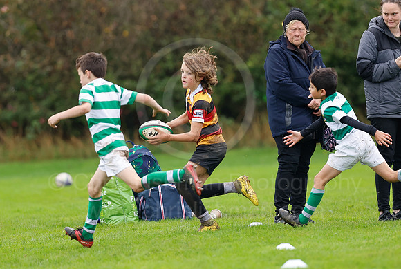 Festival_CDL_08-10-2023_CL_636029