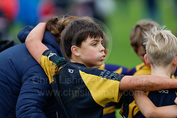 Festival_CDL_08-10-2023_CL_635719