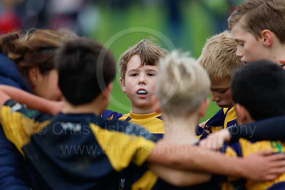 Festival_CDL_08-10-2023_CL_635709