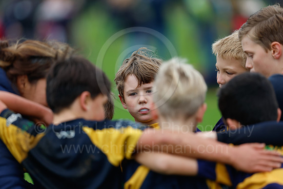 Festival_CDL_08-10-2023_CL_635695