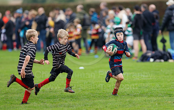 Festival_CDL_08-10-2023_CL_635014