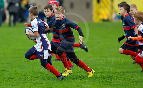 Festival_CDL_08-10-2023_CL_634445