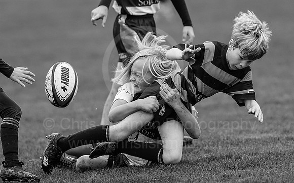 B&W__Festival_CDL_08-10-2023_CL_635325