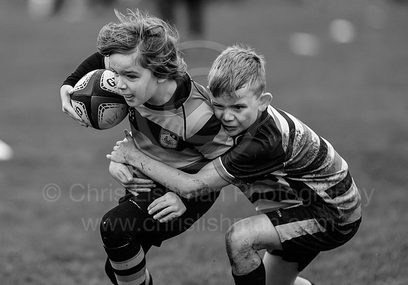 B&W__Festival_CDL_08-10-2023_CL_634557