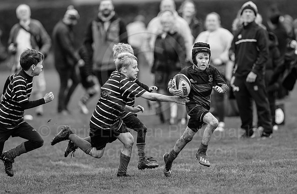 B&W__Festival_CDL_08-10-2023_CL_635028