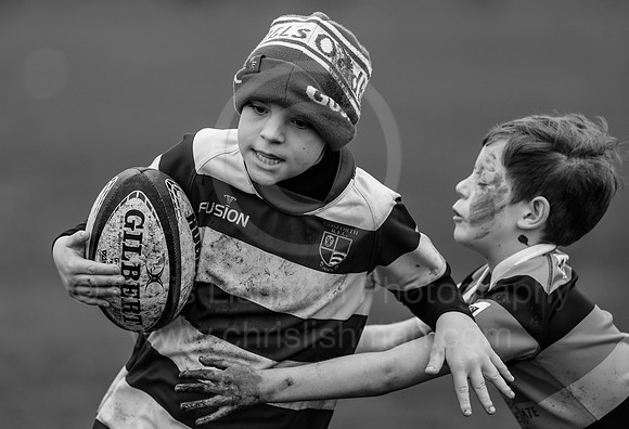 B&W__Festival_CDL_08-10-2023_CL_635504