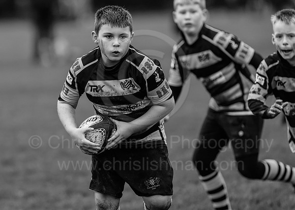 B&W__Festival_CDL_08-10-2023_CL_635757