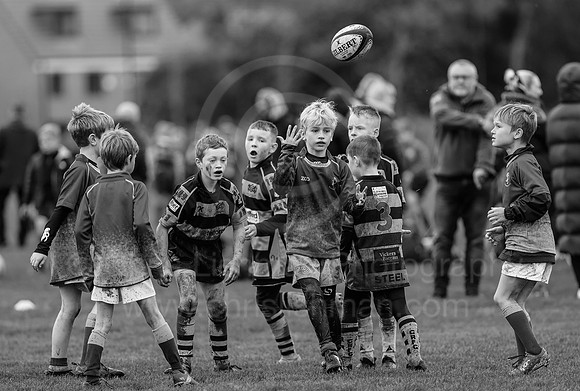 B&W__Festival_CDL_08-10-2023_CL_635951