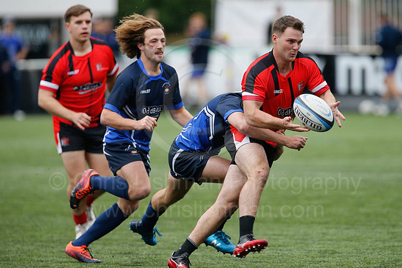Oddballs Uni.  7's Festival_115_
