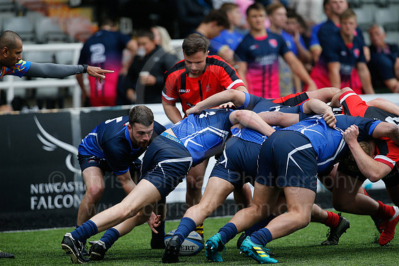 Oddballs Uni.  7's Festival_121_