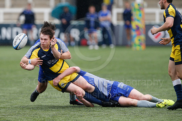 Oddballs Uni.  7's Festival_143_