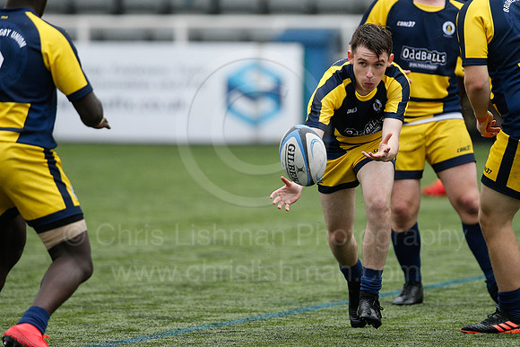 Oddballs Uni.  7's Festival_153_
