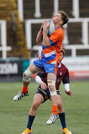 Oddballs Uni.  7's Festival_206_