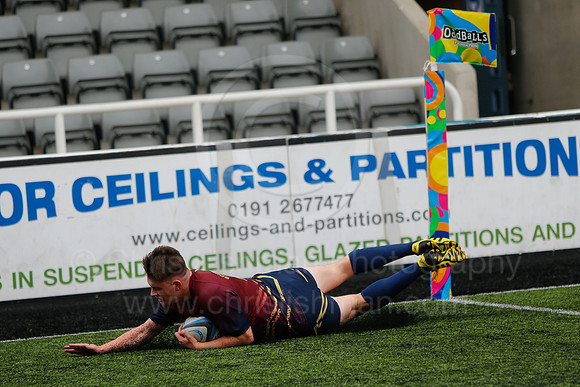 Oddballs Uni.  7's Festival_212_