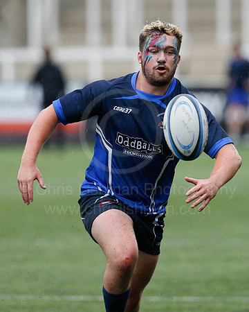 Oddballs Uni.  7's Festival_130_