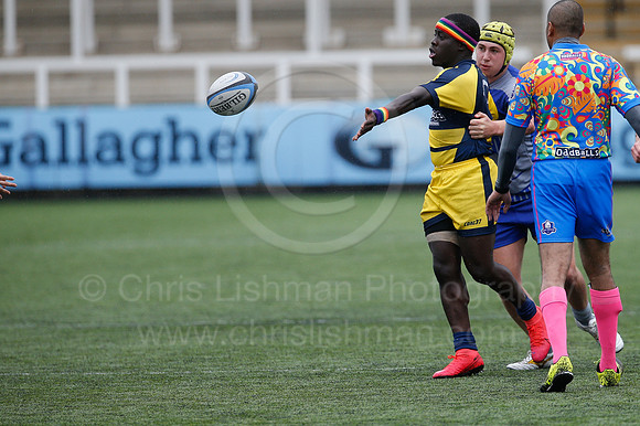 Oddballs Uni.  7's Festival_144_