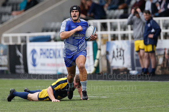 Oddballs Uni.  7's Festival_147_