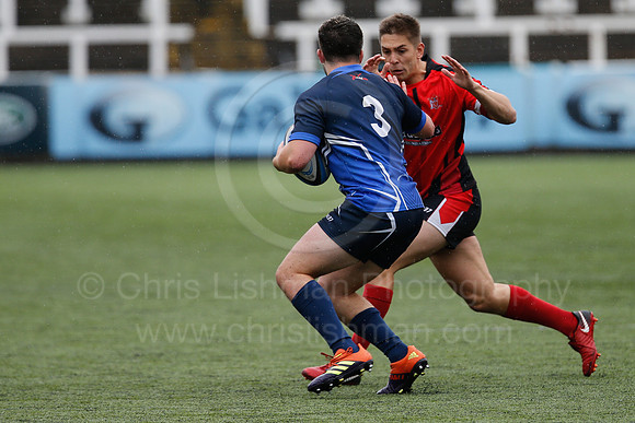 Oddballs Uni.  7's Festival_357_