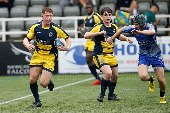 Oddballs Uni.  7's Festival_370_