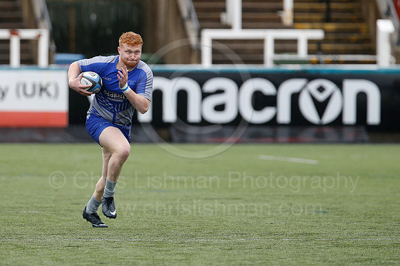 Oddballs Uni.  7's Festival_375_