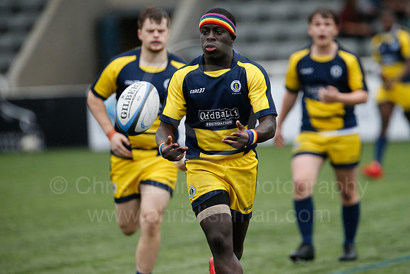 Oddballs Uni.  7's Festival_374_