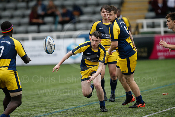 Oddballs Uni.  7's Festival_373_