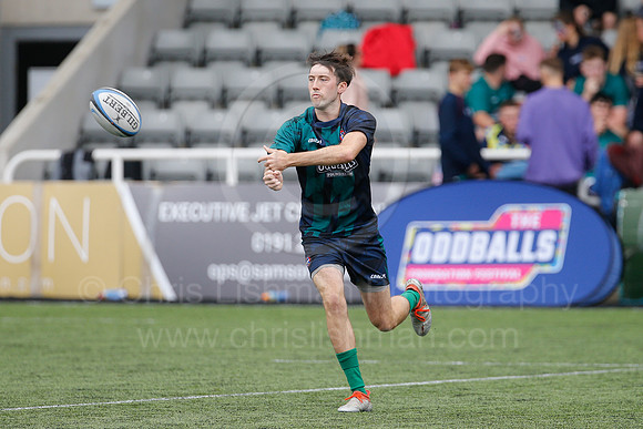 Oddballs Uni.  7's Festival_389_