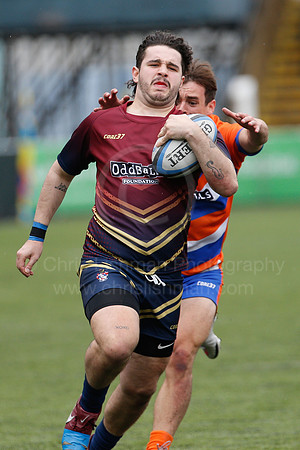 Oddballs Uni.  7's Festival_398_