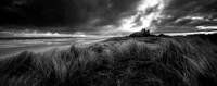 3H9A0160-Pano_B&W