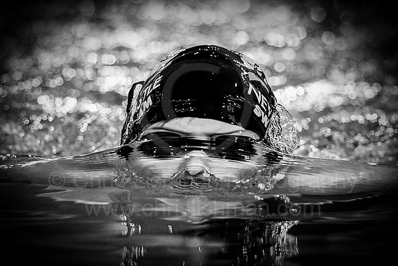 Newcastle Swim Champs_265_LA_1669_B&W