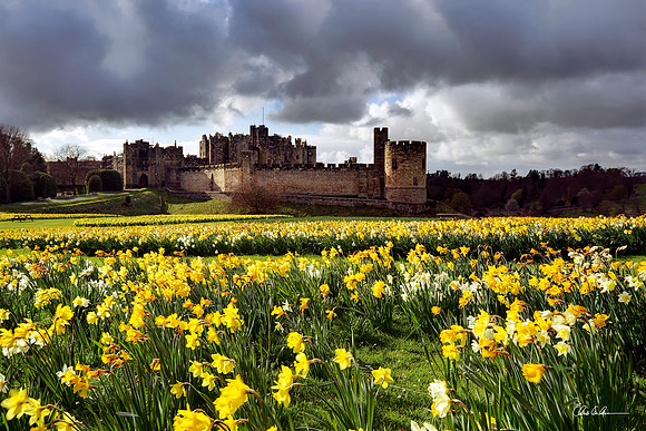 "Castle in Spring"