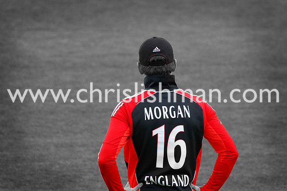Morgan 16