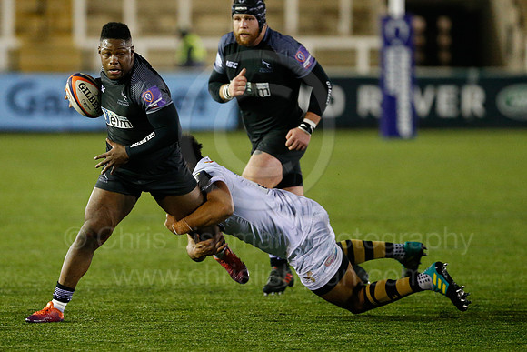 Falcons A v Wasps_009_LC_7442