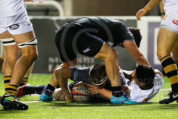 Falcons A v Wasps_011_LC_7483