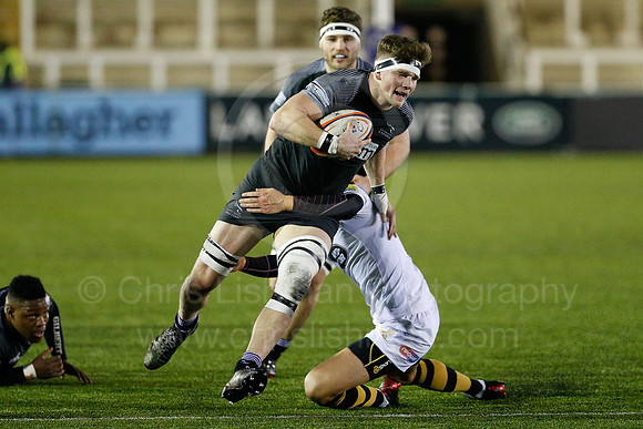 Falcons A v Wasps_010_LC_7450