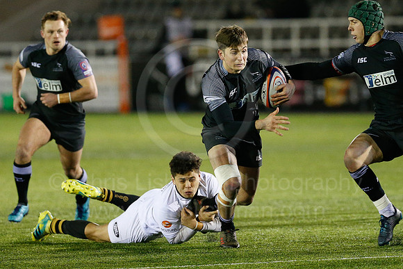 Falcons A v Wasps_012_LC_7513