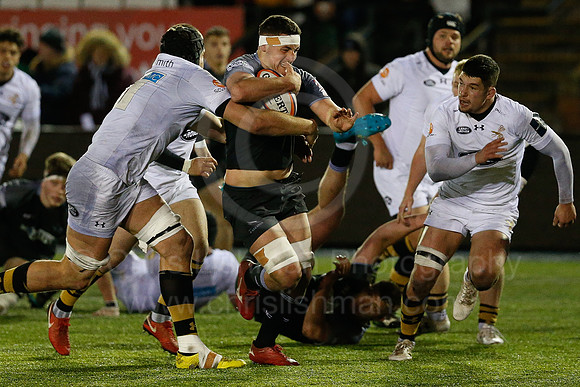 Falcons A v Wasps_059_LC_8197