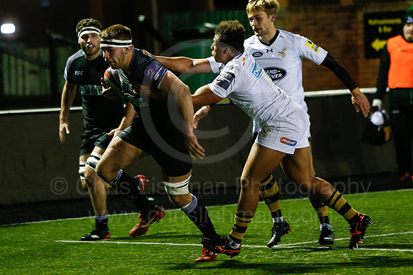 Falcons A v Wasps_017_LA_5442