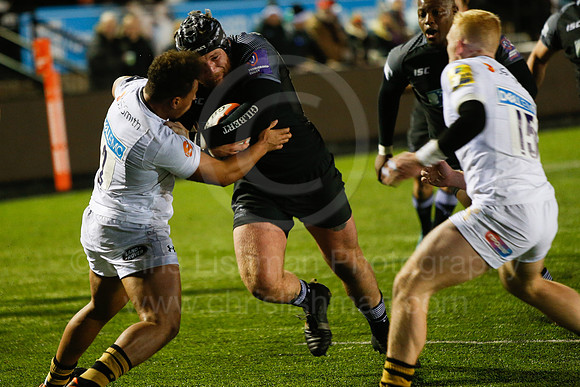 Falcons A v Wasps_027_LA_5475