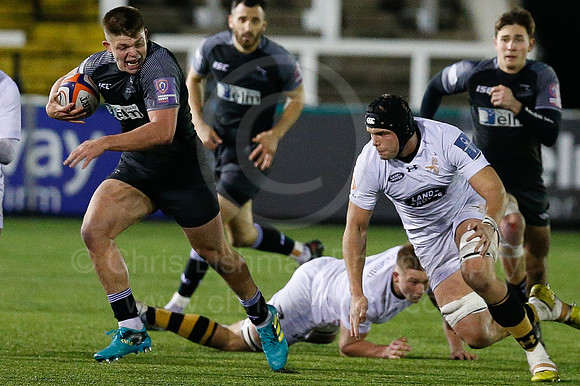 Falcons A v Wasps_051_LC_8009