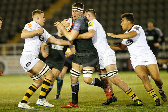 Falcons A v Wasps_004_LC_7320