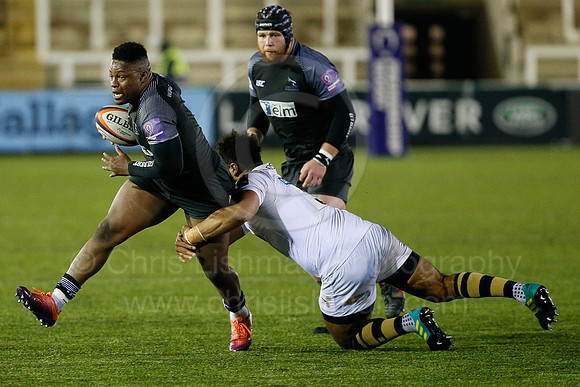 Falcons A v Wasps_008_LC_7441